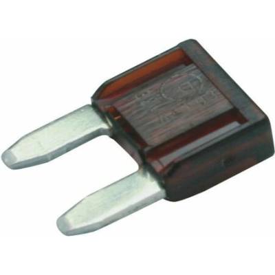 Poistka BOSCH 1 987 529 029