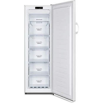 Gorenje FN4171CW