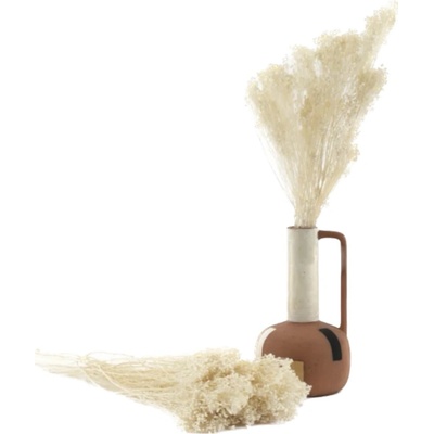 Stabilizované kvety Broom - Biele