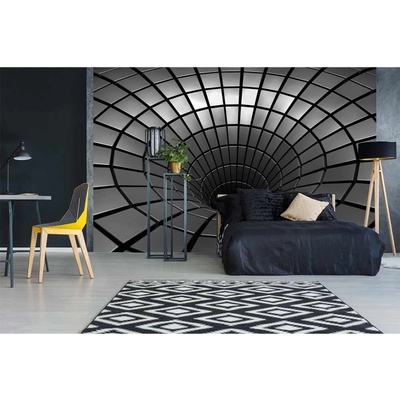 Dimex MS-5-0278 vliesová fototapeta na zeď 3D stříbrná propast rozměry 375 x 250 cm