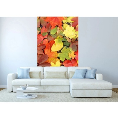Dimex MS-2-0115 vliesová fototapeta na zeď Pestrobarevné listí rozměry 150 x 250 cm