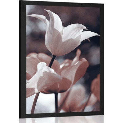 Plakát jarní tulipány v parku - 30x45 black