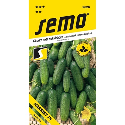 UHORKY nakladačky jemnobradavičnaté Harriet F1