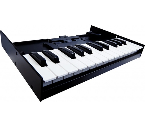 ROLAND K 25m