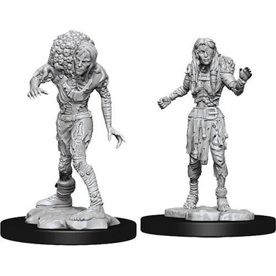 D&D Nolzur s Marvelous Miniatures: Drowned Assassin & Asetic