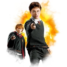 Tričko Harry Potter Harry & Ron pánské