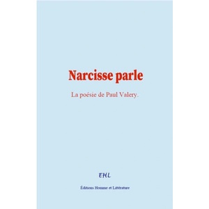 Narcisse parle | Valery Paul (ISBN: 9782491962395)