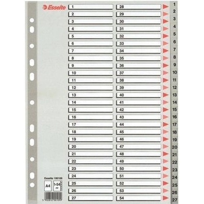 ESSELTE Rejstříky, šedá, A4 Maxi, plast, 1-54, ESSELTE 16385