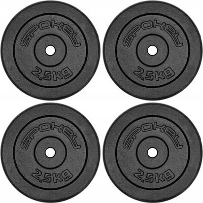 Spokey SINIS Litinový kotouč 29 mm 2,5 kg