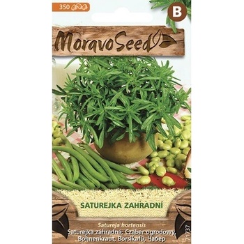 Saturejka záhradná MoravoSeed