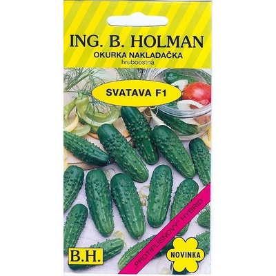 Okurka SVATAVA F1