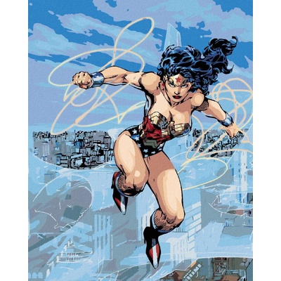 Zuty Wonder woman a laso v letu 40 x 50 cm vypnuté plátno na rám 8596530192893