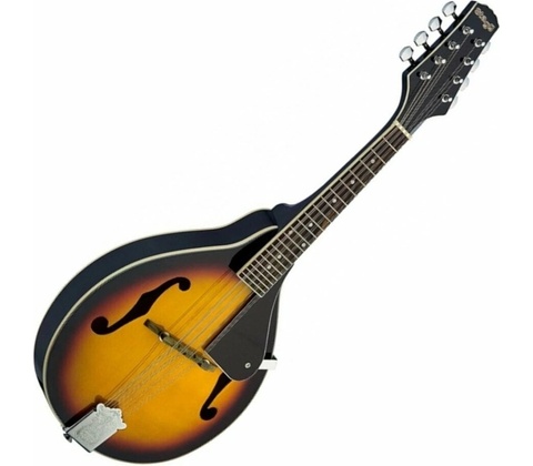 Stagg M20