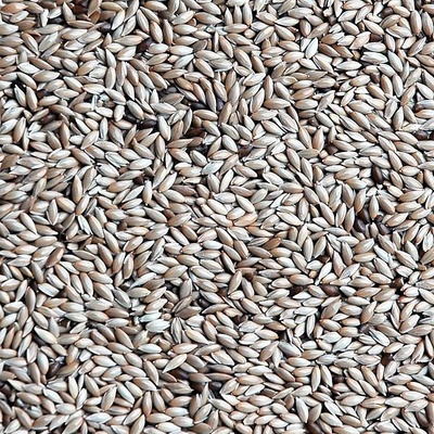 Versele-Laga Lesknica kanárska 1 kg