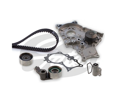 GATES KP25562XS1
