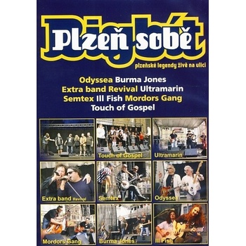 Bigbít Plzeň sobě
