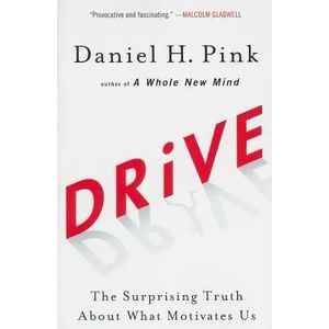 Drive | Daniel H. Pink (ISBN: 9781594484803)