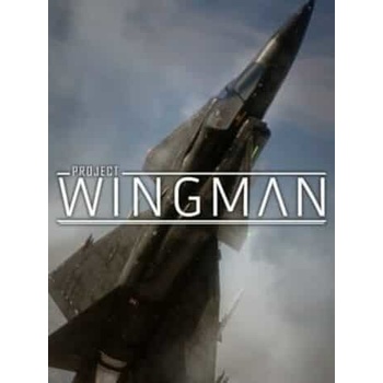 Project Wingman
