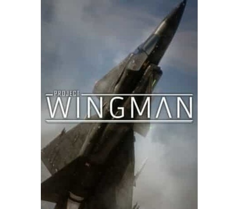 Project Wingman