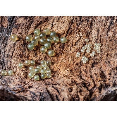 Extra carp Rubber Beads 4mm