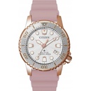 Citizen EO2023-00A