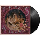 Want Two - Rufus Wainwright LP