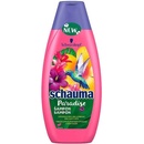 Schauma Paradise šampón na vlasy 400 ml