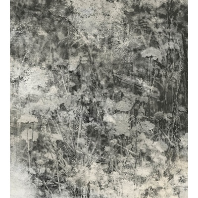 DIMEX MS-3-0361 vliesová fototapeta rozměry 225 x 250 cm