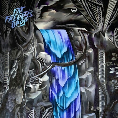 Fat Freddy's Drop - Slo Mo CD