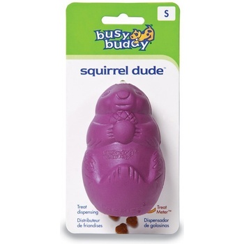 Busy Buddy Squirrel Dude S