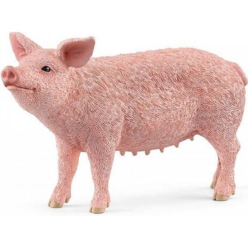 Schleich Прасе