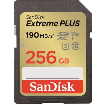 SanDisk SD 256 GB V30SDXWV-256G-GNCIN