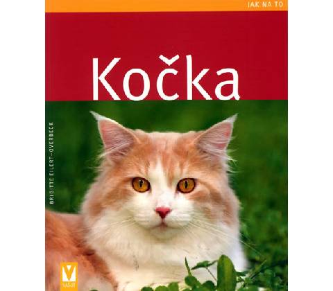 Kočka - Eilert-Overbeck Brogitte