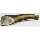 Chew Jelení paroh midi 80-100 g