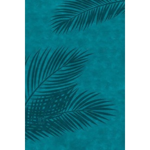 The Passion Translation New Testament (2020 Edition) Large Print Teal: With Psalms, Proverbs and Song of Songs | Brian Simmons (ISBN: 9781424562572)