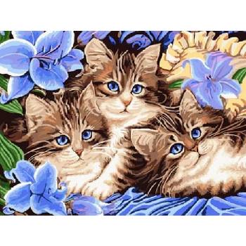 Norimpex Diamantové malování Tři koťata v květinách 30 x 40 cm