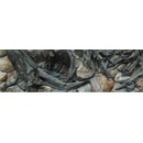 Diversa 3D pozadie Amazon 200 x 60 cm