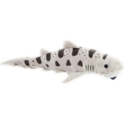 Žralok leopardí