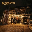 BLOSSOMS: BLOSSOMS CD