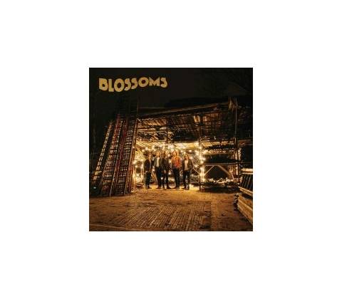 BLOSSOMS: BLOSSOMS CD