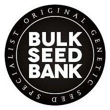 Bulk Seed Bank AUTO CBD White Widow semena neobsahují THC 1000 ks