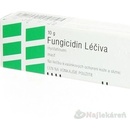 Fungicidin Léčiva ung.1 x 10 g