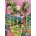 Pieces & Peace - Puzzle Cocora Valley - 500 piese
