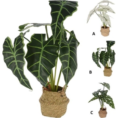 ИЗКУСТВЕНО ЦВЕТЕ alocasia В КОШНИЦА 317221270 51см (317221270)