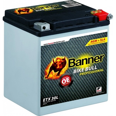 Banner AGM PRO 530 01