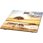 Muhler SC-3077 Savanna (1003176)