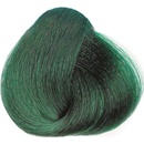 Black barvy na vlasy smaragdová zelená F999 100 ml