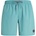 Protest Мъжки бански слипове Protest PRTFaster Boardshorts - Arctic Green (050-0838-1012)