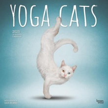 Yoga Cats Official 12 X 24 Inch Monthly Square Wall Plastic-Free 2025