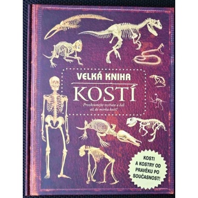 Velká kniha kostí - Llewellyn Claire